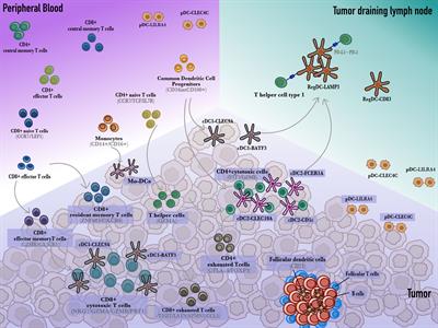 Cell atlas of the immune microenvironment in gastrointestinal cancers: Dendritic cells and beyond